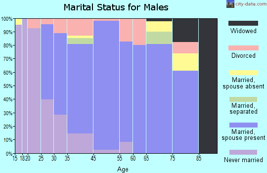 Chittenango marital status for males
