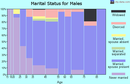 Churchville marital status for males