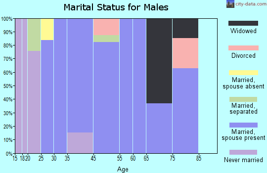 Coeymans marital status for males