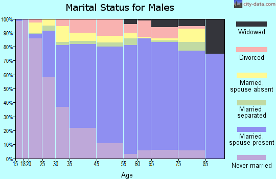Copiague marital status for males