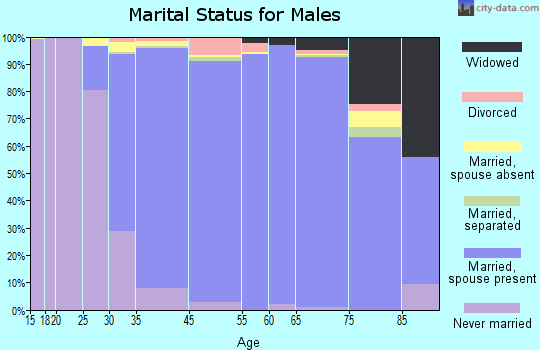 Dix Hills marital status for males
