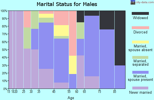 Dover Plains marital status for males