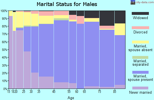East Meadow marital status for males