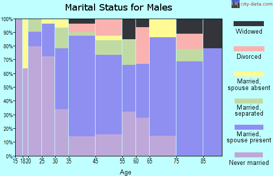 Ellenville marital status for males