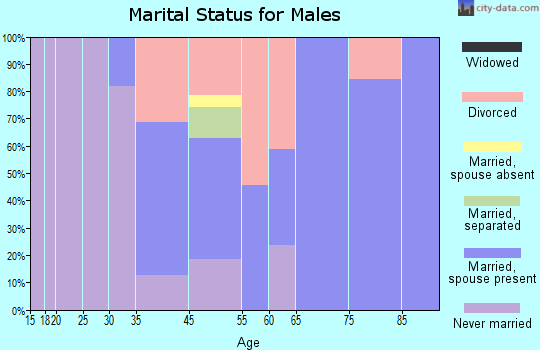 Ellicottville marital status for males
