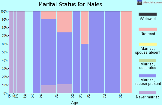 Ellisburg marital status for males