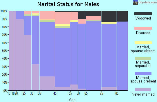 Endwell marital status for males