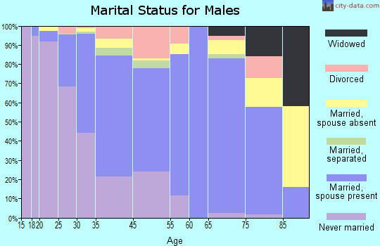 Farmingdale marital status for males