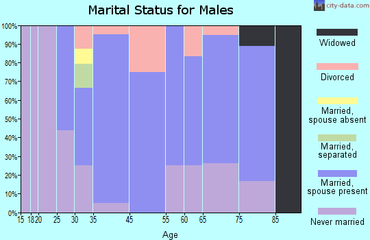 Fort Ann marital status for males