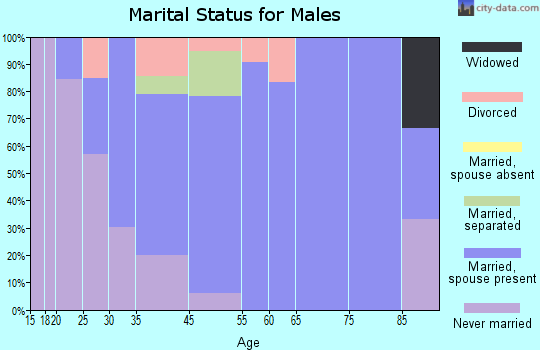 Fort Edward marital status for males
