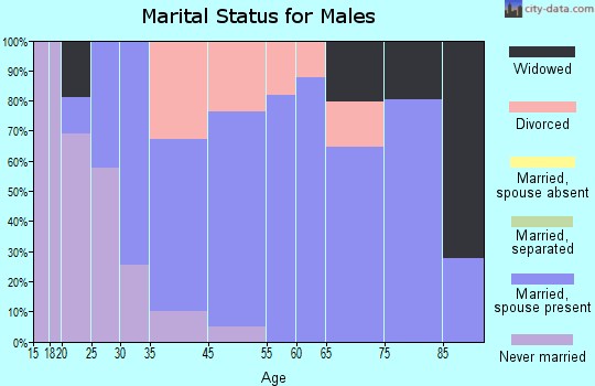 Frewsburg marital status for males
