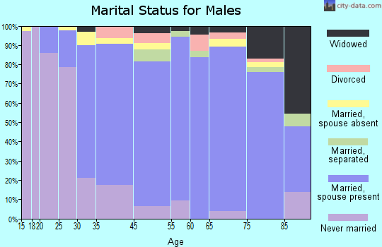 Garden City Park marital status for males