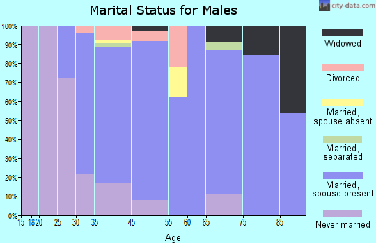 Garden City South marital status for males