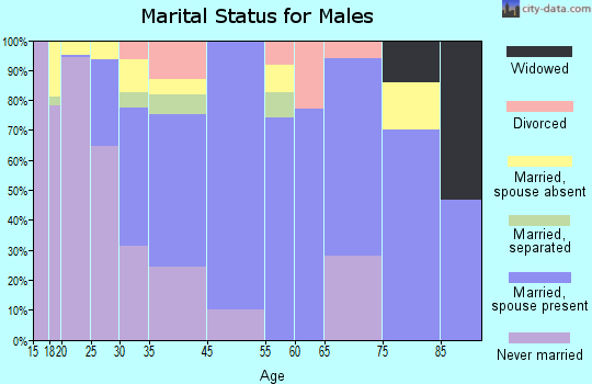 Geneseo marital status for males