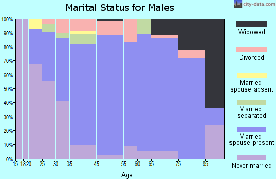 Glens Falls North marital status for males