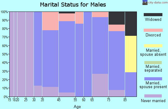 Grand View-on-Hudson marital status for males
