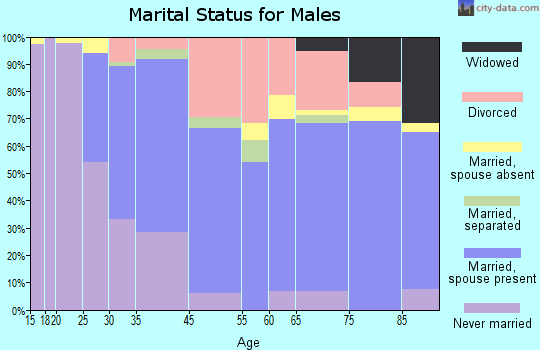 Great Neck Plaza marital status for males