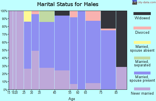 Greenport West marital status for males