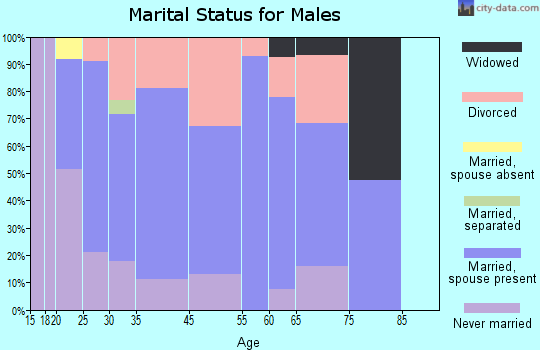 Ardmore marital status for males
