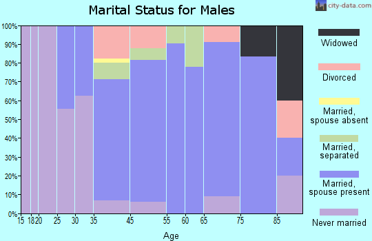 Hammondsport marital status for males