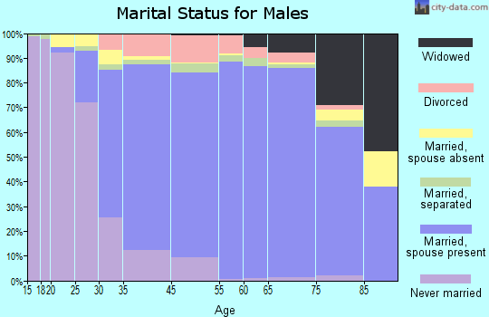 Hauppauge marital status for males