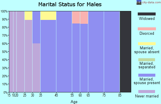 Hewlett Bay Park marital status for males