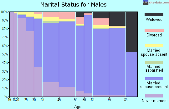Hicksville marital status for males