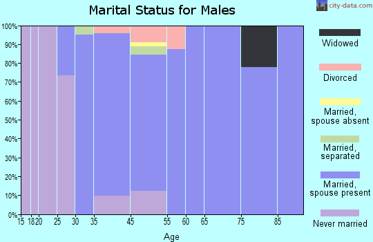 Highland Mills marital status for males