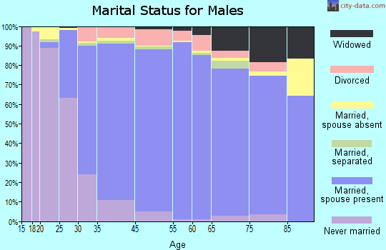 Holbrook marital status for males