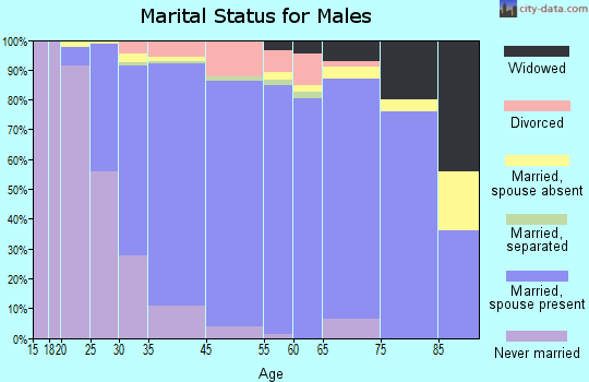 Holtsville marital status for males