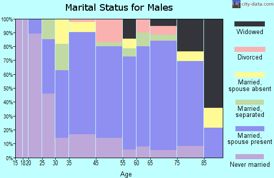 Hoosick Falls marital status for males