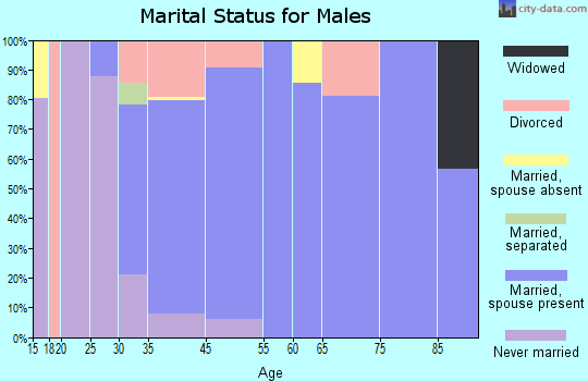 Hopewell Junction marital status for males