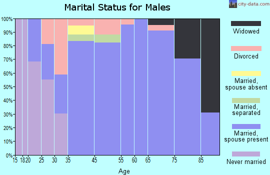 Horseheads North marital status for males