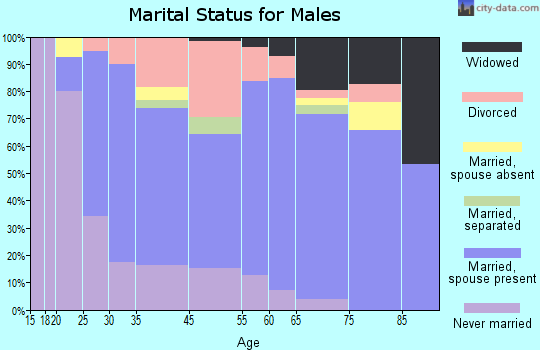 Hudson Falls marital status for males