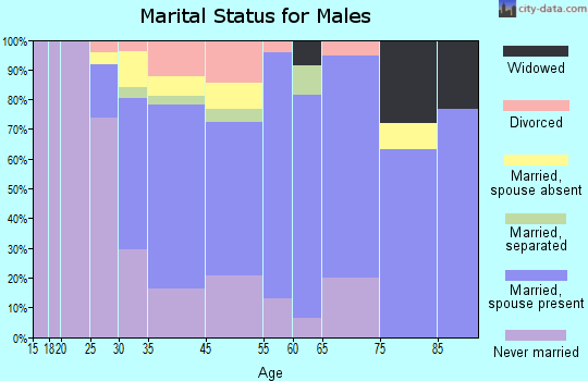Island Park marital status for males