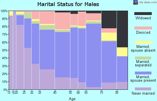Jamestown marital status for males