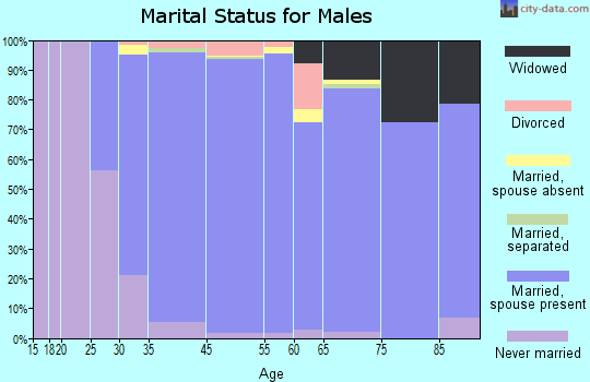 Jefferson Valley-Yorktown marital status for males