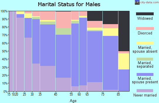Johnson City marital status for males