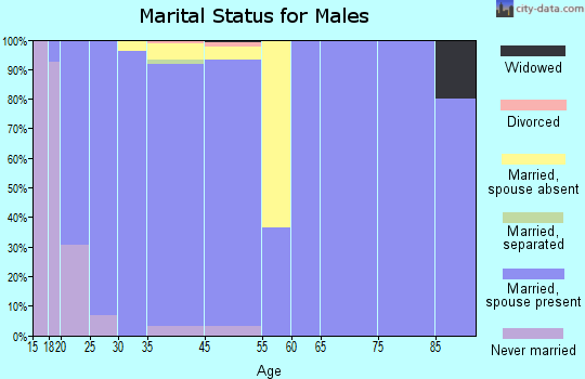 Kiryas Joel marital status for males