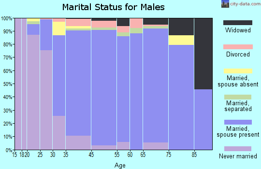 Lake Grove marital status for males