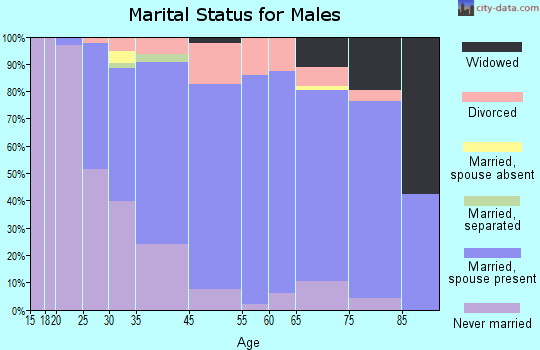 Lancaster marital status for males