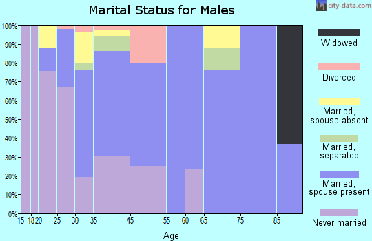 Lansing marital status for males