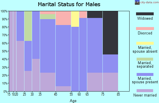 Leicester marital status for males
