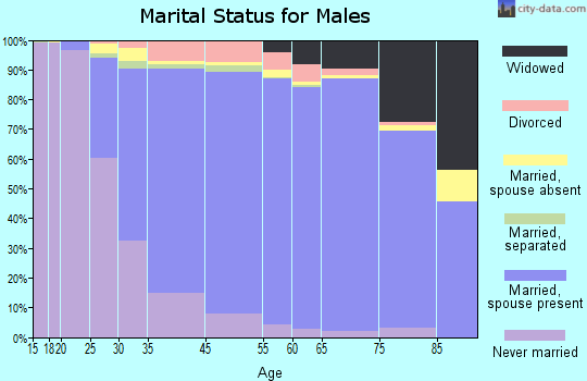 Levittown marital status for males