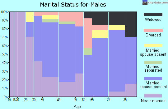 Lewiston marital status for males
