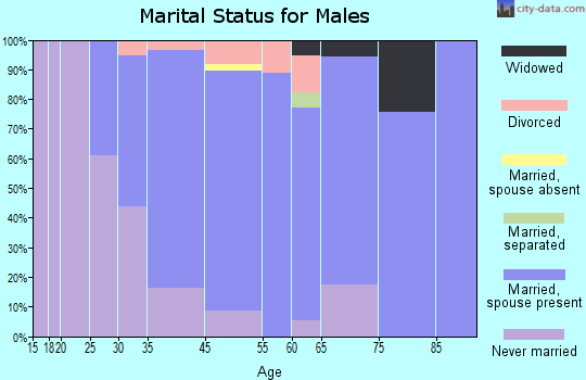 Lido Beach marital status for males