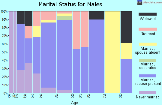 Lime Lake-Machias marital status for males