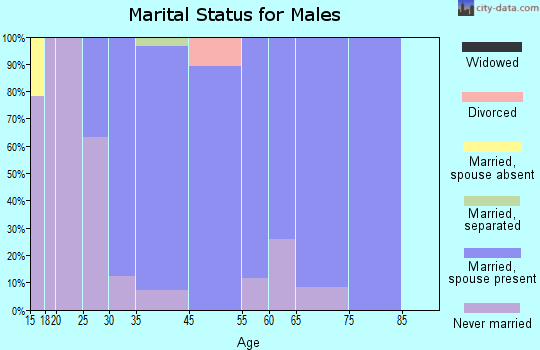 Lincolndale marital status for males