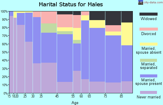 Little Falls marital status for males