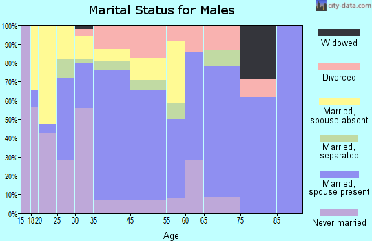 Little Valley marital status for males